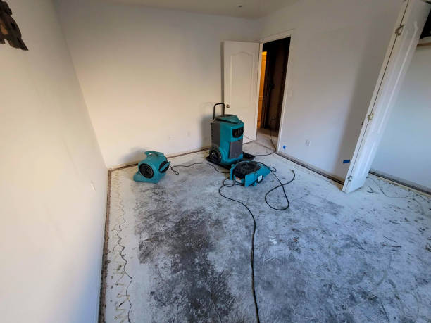 Best Water damage contractors near me  in Stamford, TX