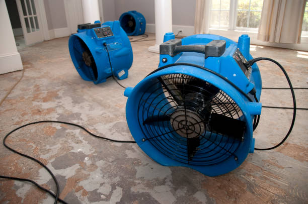 Best Commercial water damage restoration  in Stamford, TX