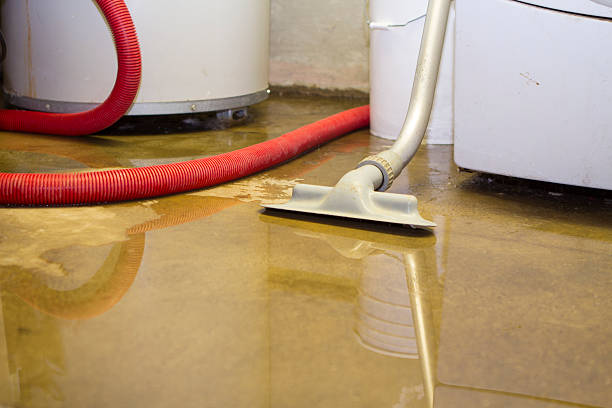 Best Water damage restoration process  in Stamford, TX